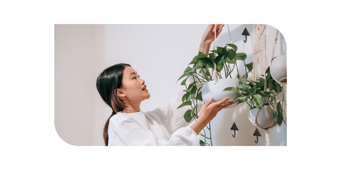 Choosing the Perfect Size Hook for Hanging Plants: A Guide to Enhancing Your Space