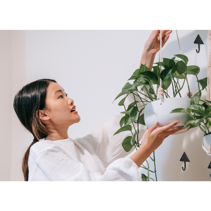 Choosing the Perfect Size Hook for Hanging Plants: A Guide to Enhancing Your Space